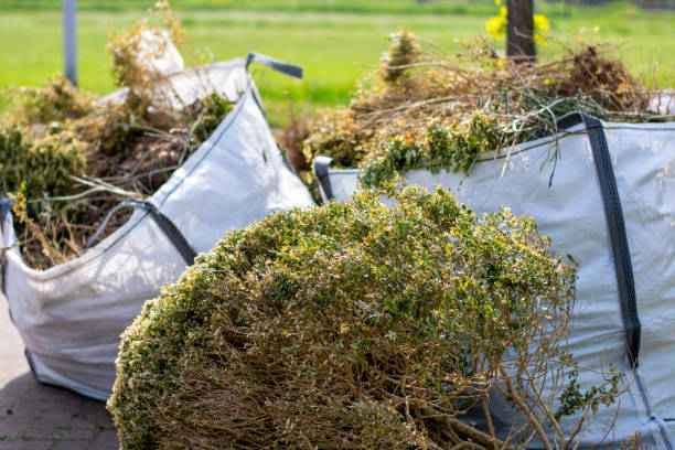 Best Household Junk Removal  in Moreauville, LA